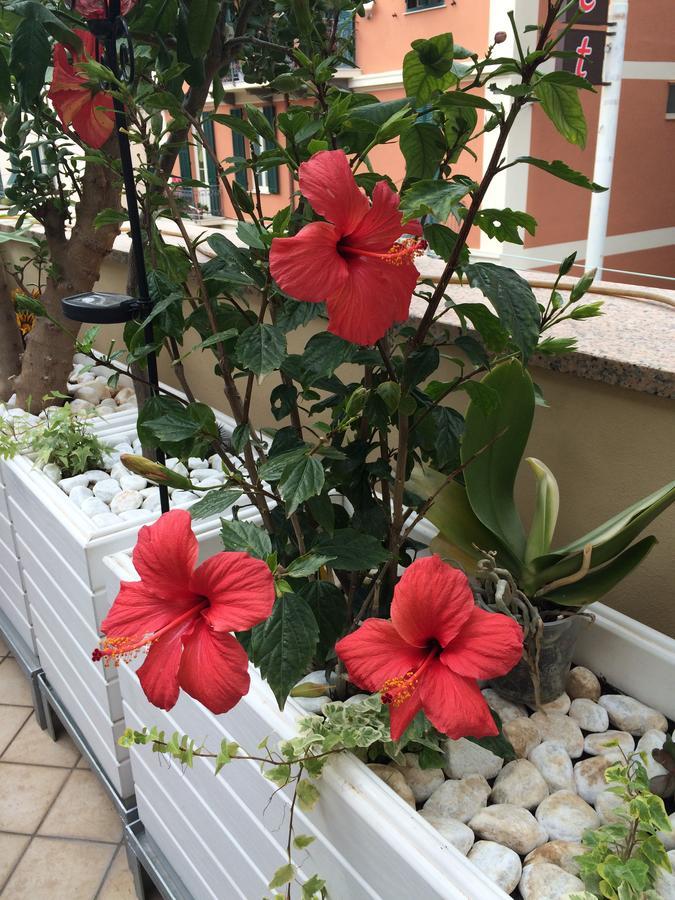 B&B Borgo Marina Bordighera Exteriér fotografie